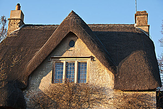 建筑,茅草屋顶,房子,威尔特,英格兰,英国