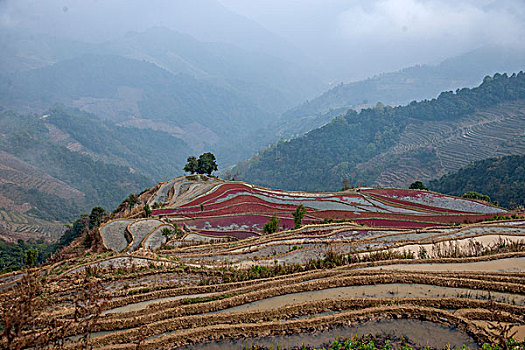 云南元江那诺乡观音山梯田