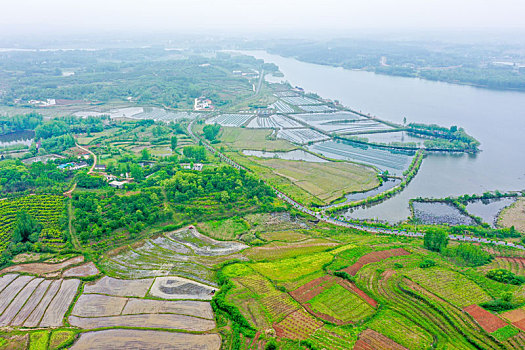 航拍河南信阳光山县司马光油茶园