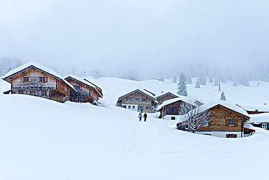 奥地利,蒙塔丰,积雪,滑雪,小屋,高山,乡村