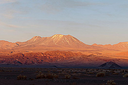 佩特罗,阿塔卡马沙漠,安托法加斯塔,智利