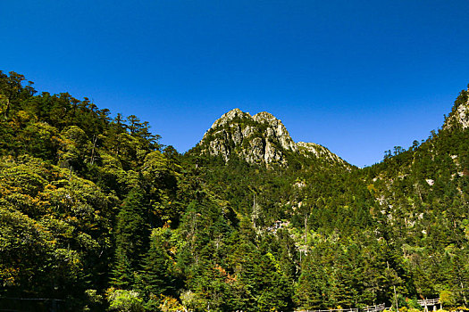 螺髻山风景