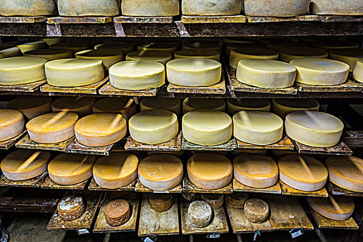 奶酪,工厂,因巴布拉省,省,厄瓜多尔