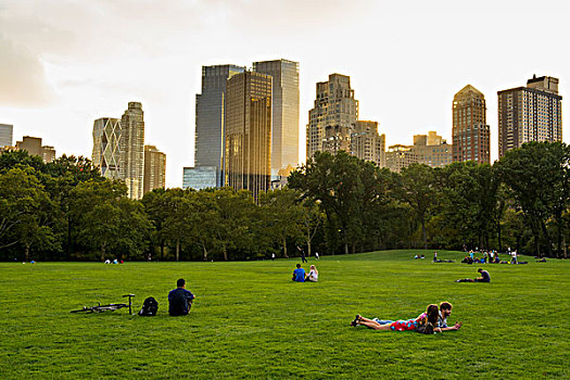 人,绵羊,草地,中央公园,曼哈顿,纽约,美国,北美