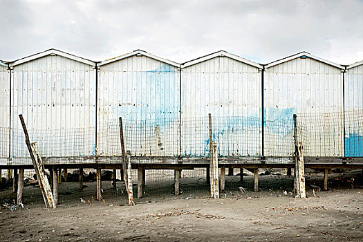 木制沙滩小屋,和围栏,在海滩,在冬季,奥斯蒂亚,丽都,罗马,意大利
