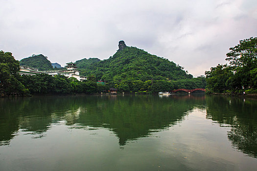 桂湖风光