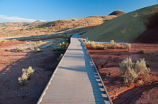木板路,涂绘,小湾,小路,约翰时代化石床国家纪念公园,俄勒冈,美国