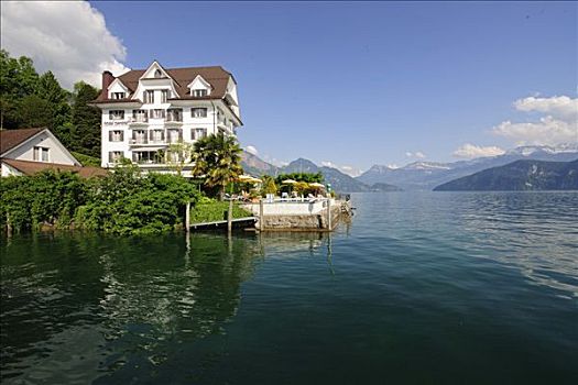 酒店,中心,琉森湖,卢塞恩市,瑞士,欧洲