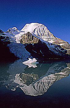 冰,大块,冰山,湖,罗布森山,罗布森山省立公园,不列颠哥伦比亚省,加拿大
