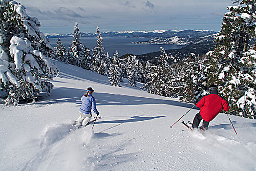 伴侣,滑雪,粉状雪,顶峰