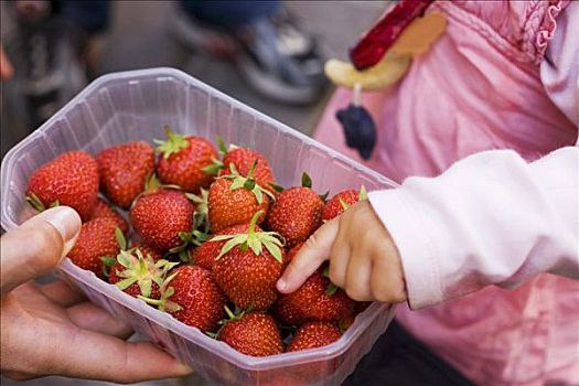 手,草莓,塑料制品,扁篮