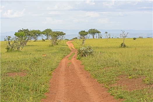 乡村道路,非洲