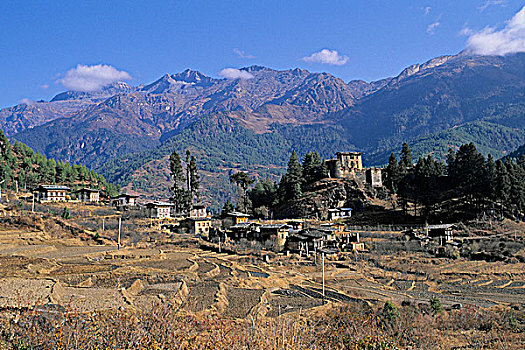 不丹,宗派寺院,景色,农田