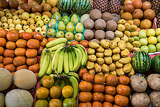 墨西哥,圣米格尔,展示,果蔬,市场,画廊