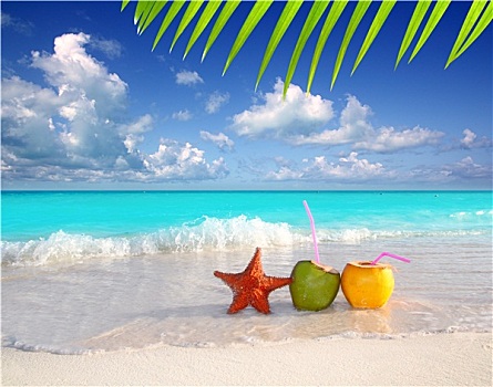 椰子,鸡尾酒,果汁,海星,热带沙滩