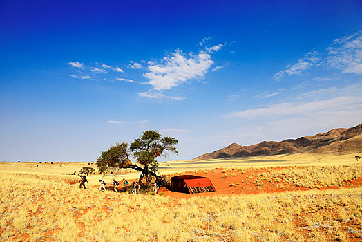 远足,长途旅行者,小路,纳米比沙漠,自然保护区,公园,纳米比亚,非洲