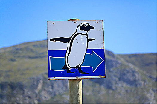 路标,企鹅,西海角,南非,非洲