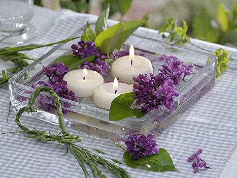 丁香花,花,叶子,浮水蜡烛,玻璃碗
