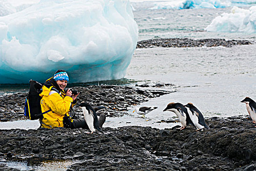 南极,布朗布拉夫,幼小,阿德利企鹅,旅游