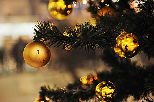 圣诞树,装饰,特写,购物中心