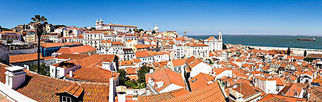 风景,阿尔法马区,地区,寺院,山顶,里斯本,葡萄牙