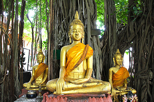 佛像,漂亮,寺院,庙宇,泰国