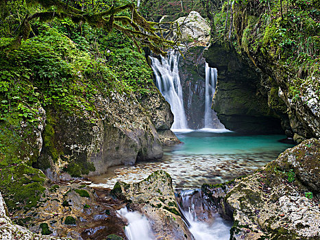 瀑布,水,小树林,特拉维夫,国家公园,朱利安阿尔卑斯,斯洛文尼亚
