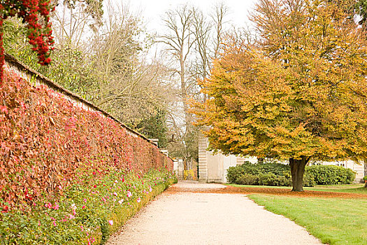 花园,秋叶,凡尔赛宫