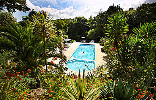 游泳池,假日,屋舍,花园,风景,格恩西岛,峡岛,欧洲