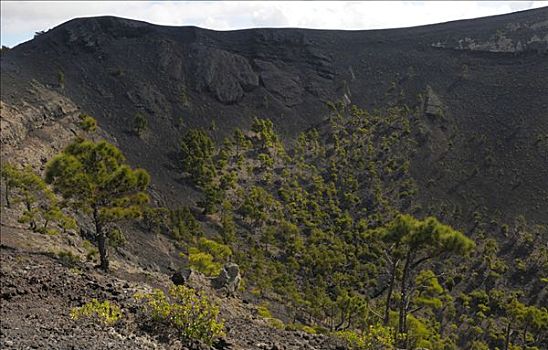 火山地貌,火山,圣安东尼奥,帕尔玛,加纳利群岛,西班牙