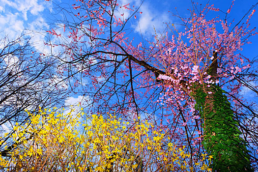 munich慕尼黑olympia,park