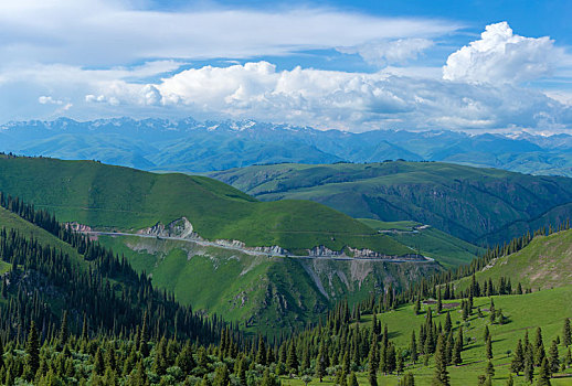 新疆高山草原