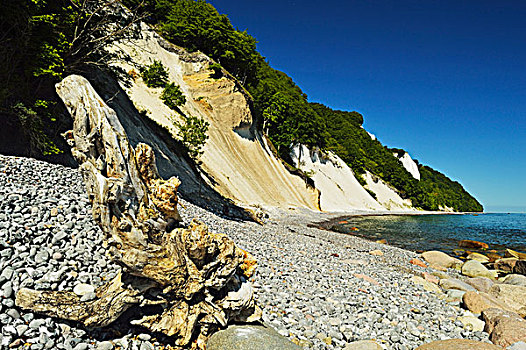 白垩断崖,浮木,岩石,海滩,雅斯蒙德国家公园,吕根岛,梅克伦堡州,德国