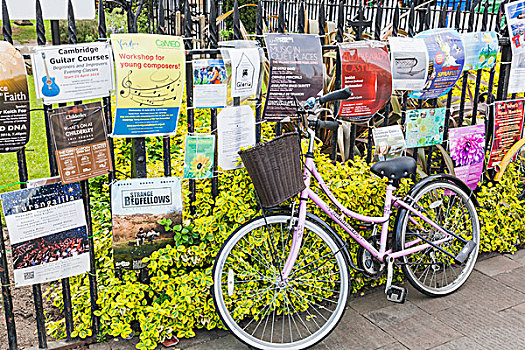 英格兰,剑桥郡,剑桥,海报,自行车