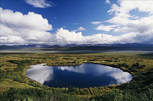 阿拉斯加,德纳里峰国家公园,苔原,水塘,麦金利山,河,阿拉斯加山脉,远景