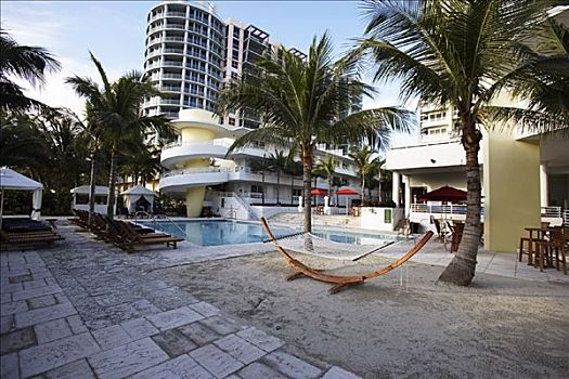 游泳池,内庭,皇家,棕榈树,酒店,南海滩,迈阿密,佛罗里达,美国