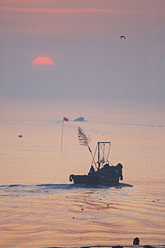 山东省日照市,渔民迎着朝阳驾船出海,成了一道靓丽风景线