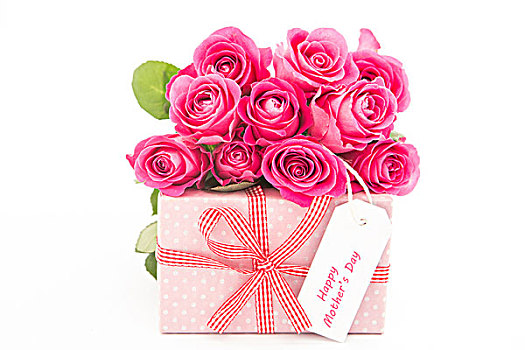 花束,粉色,玫瑰,靠近,礼物,高兴,母亲节,卡,白色背景,背景,特写