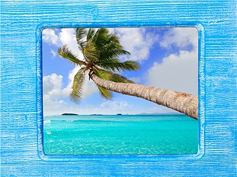 蓝色,木框,棕榈树,海滩