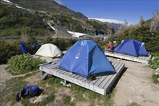 帐篷,木质,平台,高兴,露营,淘金热,不列颠哥伦比亚省,加拿大,北美