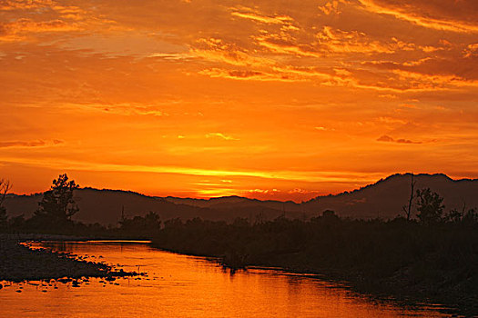 日落,上方,河,国家公园,印度