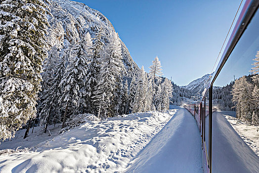 高速列车,雪,木头,山谷,格劳宾登,瑞士