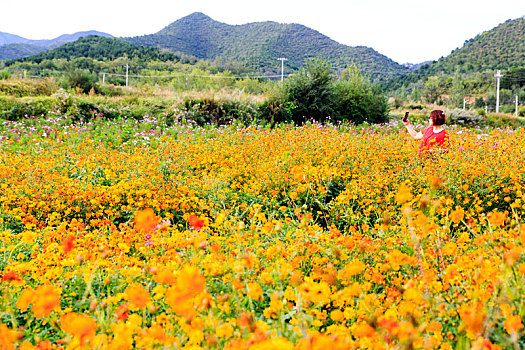 四季花海