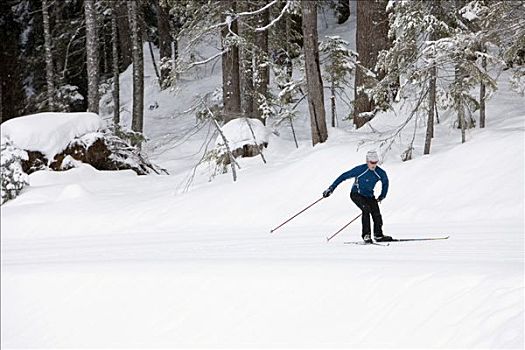 男人,越野滑雪,不列颠哥伦比亚省,加拿大