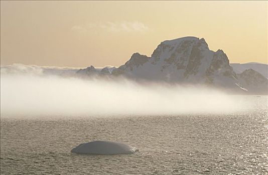 雾,搂抱,脚,冰,山峦,海峡,南极半岛,南极