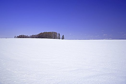 晴朗,冬天,山