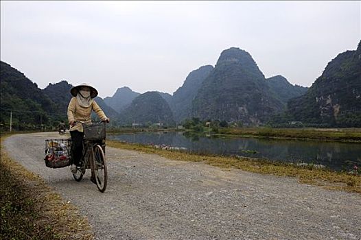 越南,成年,女人,自行车,收集,垃圾,正面,喀斯特地貌,山峦,国家公园,北越,东南亚