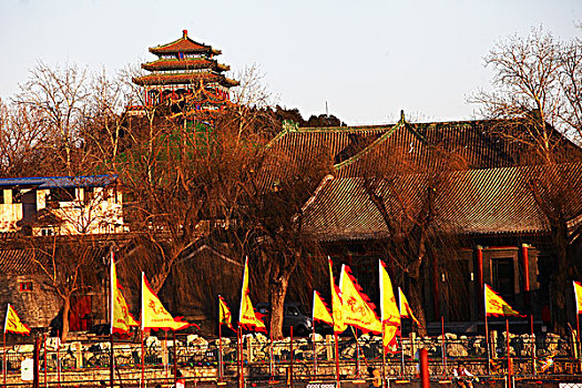 故宫,北海公园,中国,北京,全景,风景,地标,传统