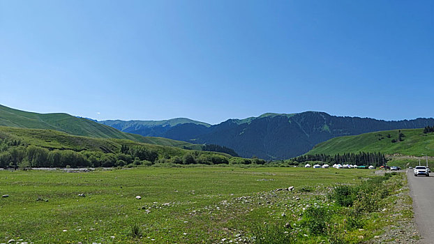 新疆风景巩乃斯国家森林公园