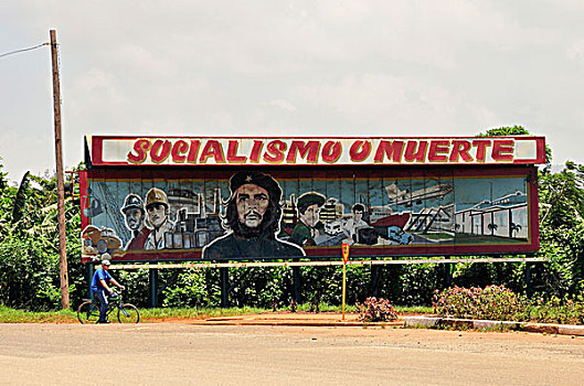 社会主义,宣传,死亡,古巴,加勒比